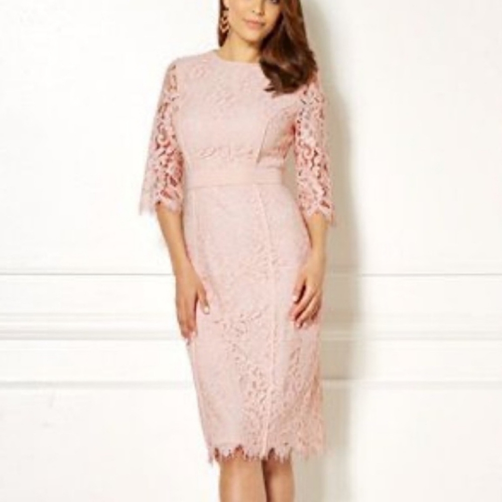 Eva Mendes NY&CO Romina Light Pink Floral Lace Dress Women's XS Sheer Sleeves